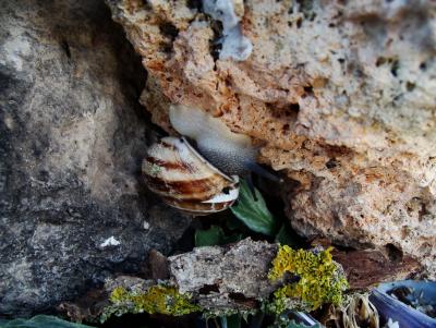 Прикрепленное изображение: DSC01987.JPG